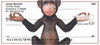 Zen Monkey Business 